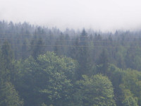 /album/historie/20090515-17-bsp-hojna-voda-43-jpg/